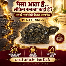 Natural Pyrite Turtle (Kachhua) – Wealth, Stability & Business Success Vastu Symbol for Office Desk, Cash Counter & Home